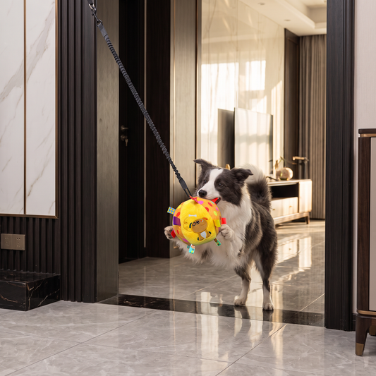 Interactive Hanging Dog Ball Toy with Elastic Play Rope & Hook