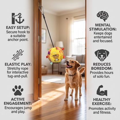 Interactive Hanging Dog Ball Toy with Elastic Play Rope & Hook