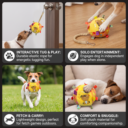 Interactive Hanging Dog Ball Toy with Elastic Play Rope & Hook