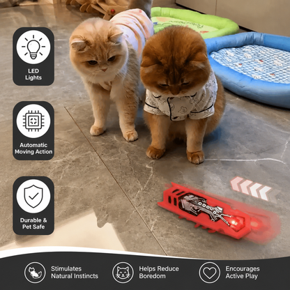 Interactive Electric Beetle Cat Toy with LED Lights and Automatic Moving Action