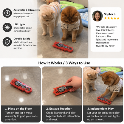 Interactive Electric Beetle Cat Toy with LED Lights and Automatic Moving Action