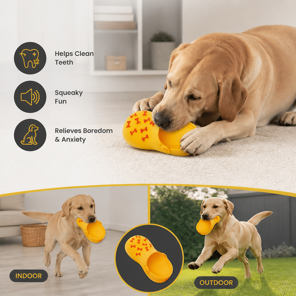 Interactive Squeaky Slipper Dog Chew Toy
