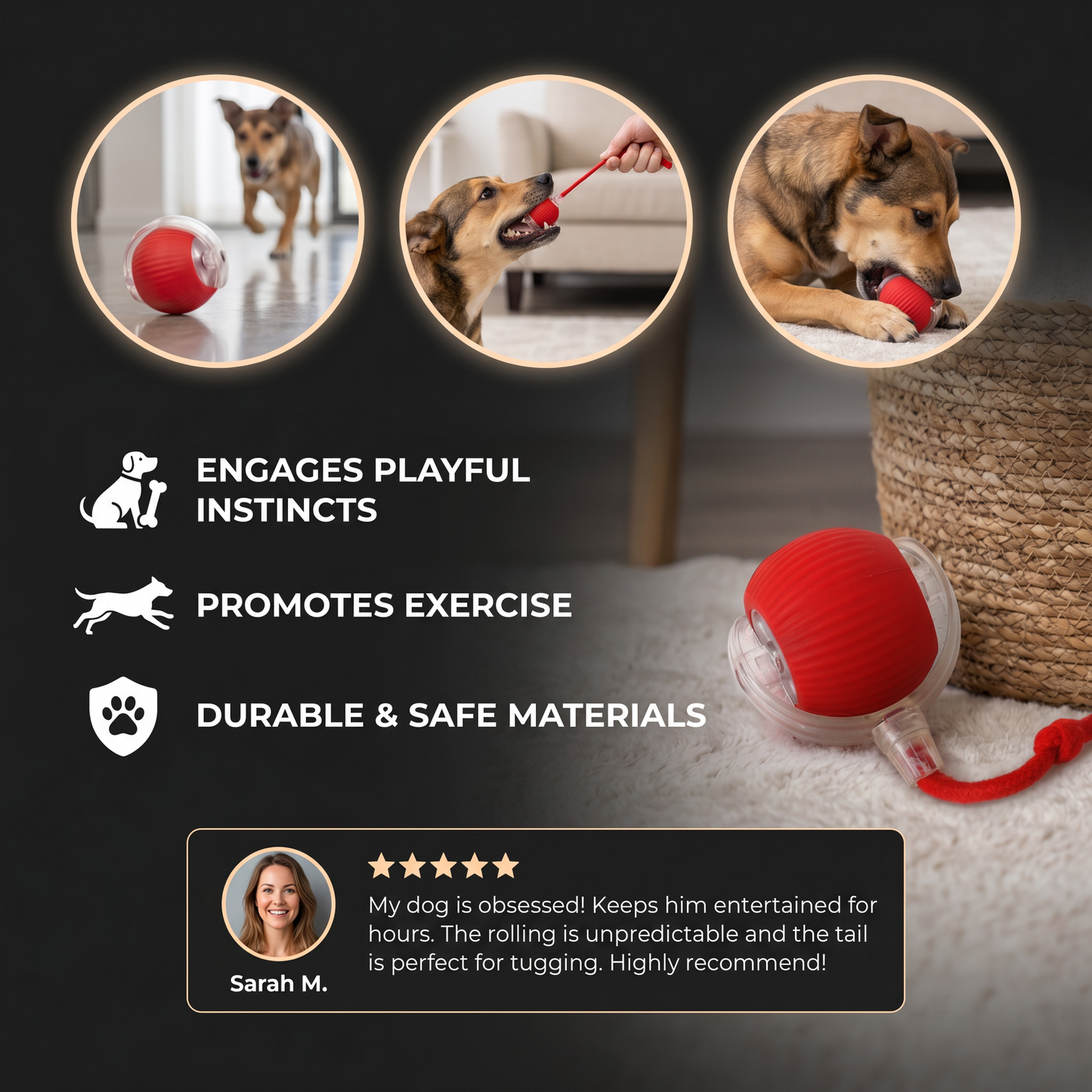 Active Rolling Ball with Tail for Dogs
