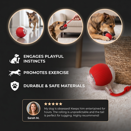 Active Rolling Ball with Tail for Dogs