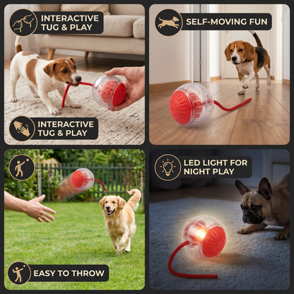 Active Rolling Ball with Tail for Dogs