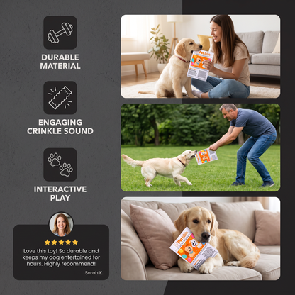 Durable Interactive Crinkle Newspaper Dog Toy