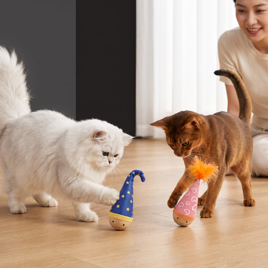 Bouncy Cat Toy – Durable Activity Toy to Reduce Boredom in Cats