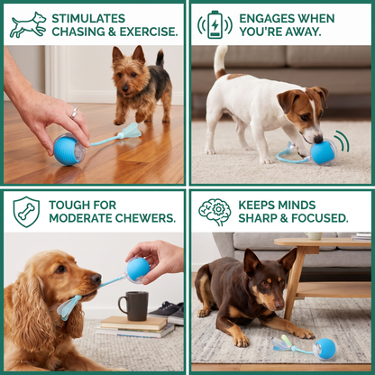 Upgraded Smart Rolling Dog Ball – Durable Interactive Toy with Mesh Tail