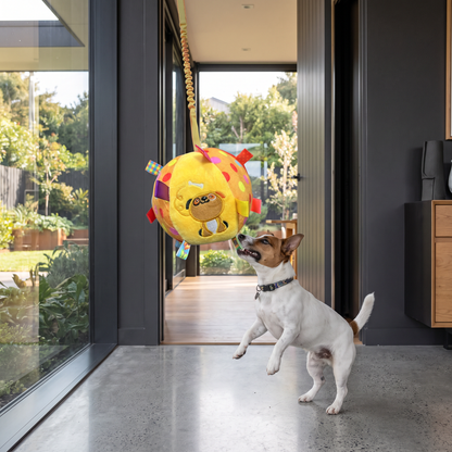 Interactive Hanging Dog Ball Toy with Elastic Play Rope & Hook