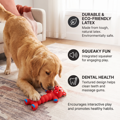 Durable Natural Latex Teeth Cleaning Dog Chew Toy