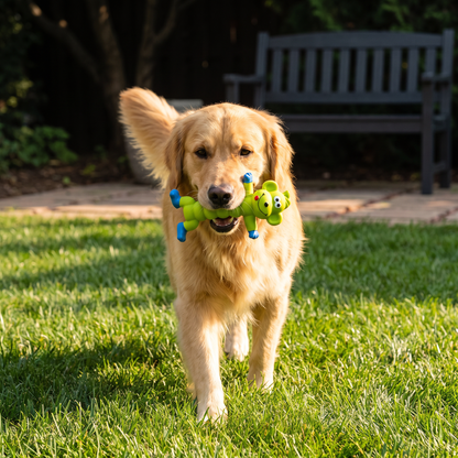 Durable Natural Latex Teeth Cleaning Dog Chew Toy