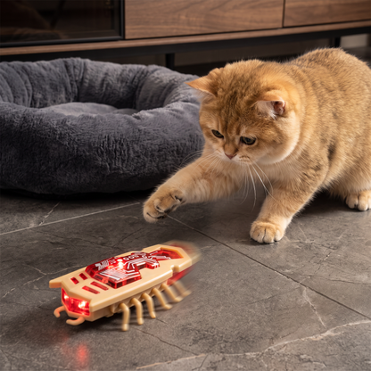 Interactive Electric Beetle Cat Toy with LED Lights and Automatic Moving Action