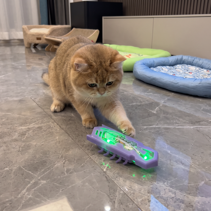 Interactive Electric Beetle Cat Toy with LED Lights and Automatic Moving Action