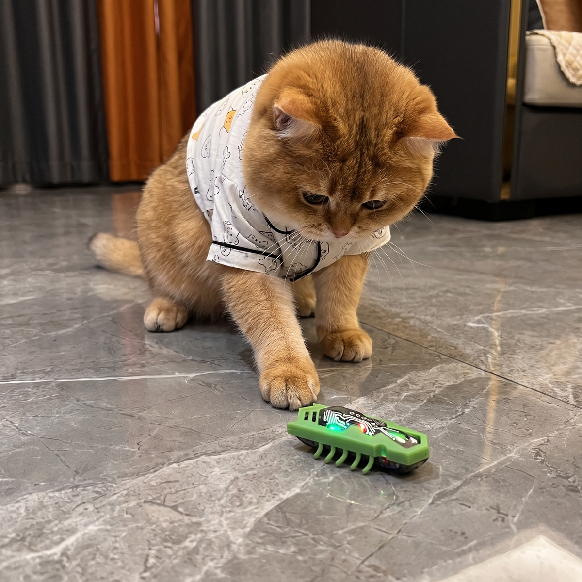 Interactive Electric Beetle Cat Toy with LED Lights and Automatic Moving Action