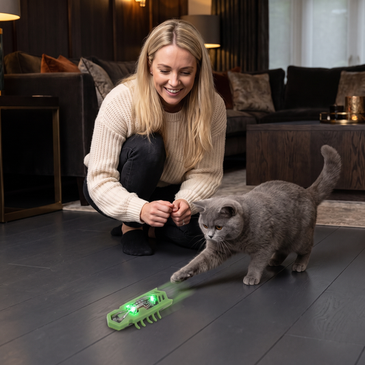 Interactive Electric Beetle Cat Toy with LED Lights and Automatic Moving Action