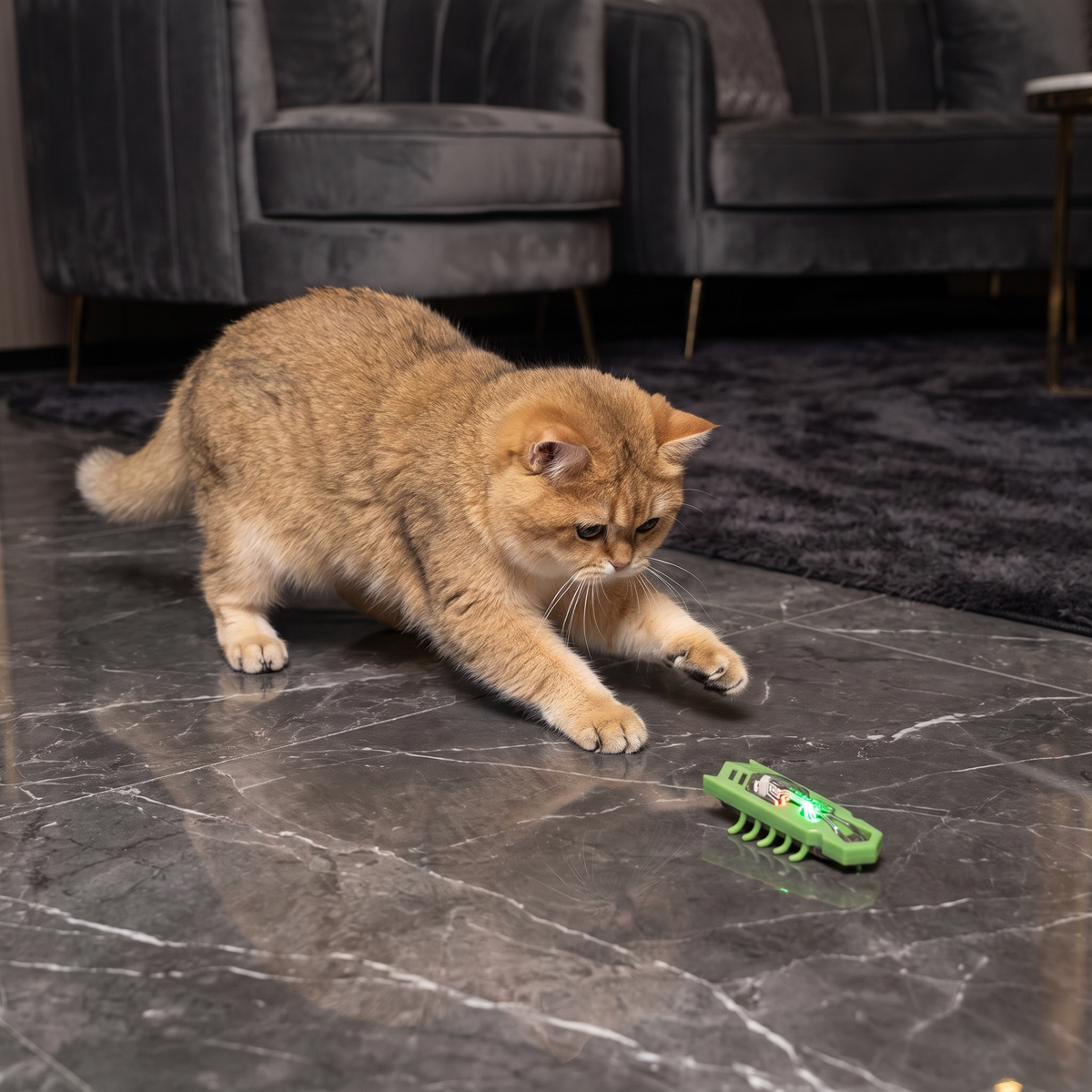Interactive Electric Beetle Cat Toy with LED Lights and Automatic Moving Action