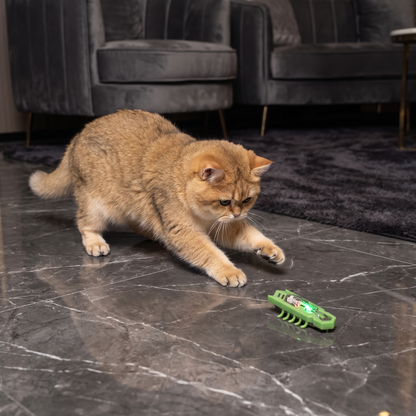 Interactive Electric Beetle Cat Toy with LED Lights and Automatic Moving Action