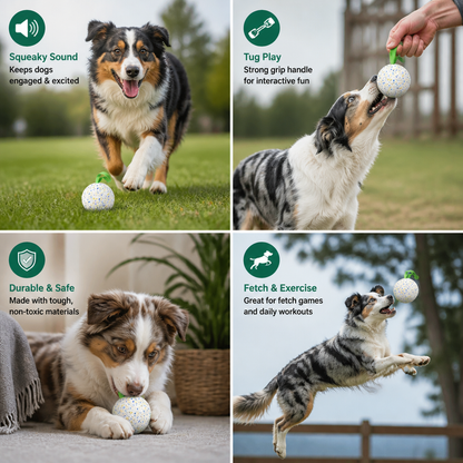 Indestructible Squeaky Dog Ball – Bite-Resistant Interactive Tug & Fetch Toy