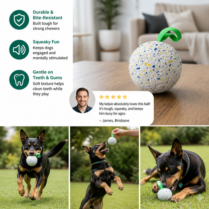 Indestructible Squeaky Dog Ball – Bite-Resistant Interactive Tug & Fetch Toy