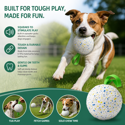 Indestructible Squeaky Dog Ball – Bite-Resistant Interactive Tug & Fetch Toy