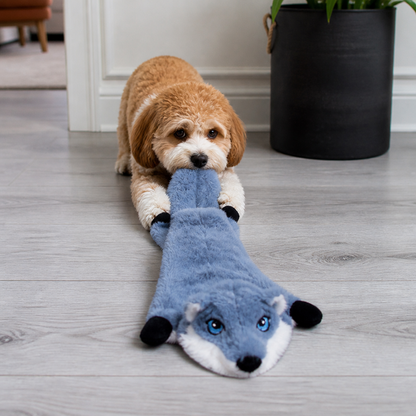 Durable Stuffing-Free Crinkle Squeaky Dog Toy