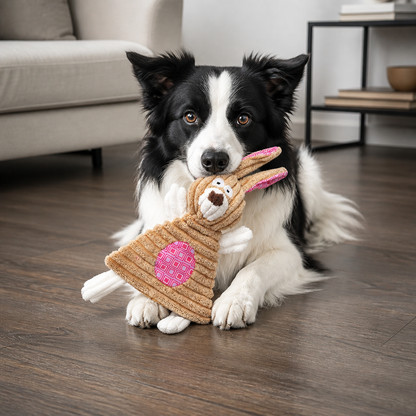 Durable Stuffing-Free Crinkle Squeaky Dog Toy