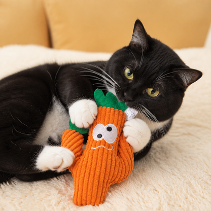 Catnip-Filled Cactus Teeth Cleaning Cat Toy