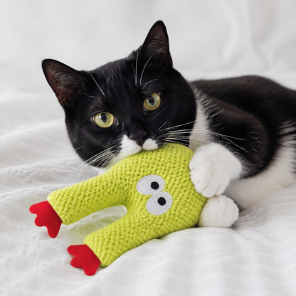 Catnip-Filled Cactus Teeth Cleaning Cat Toy