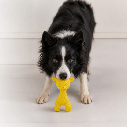 Interactive Squeaky Giraffe Toy for Dogs