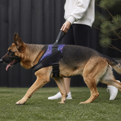 Reflective Adjustable Dog Harness with 3 Leash Clips – Padded for Walking & Training