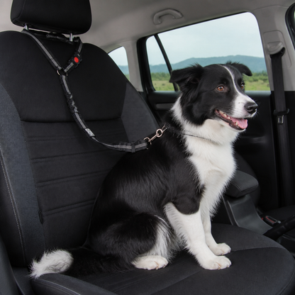 Dog Car Safety Belt
