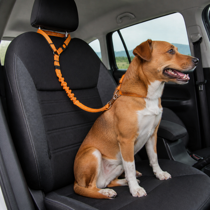 Dog Car Safety Belt