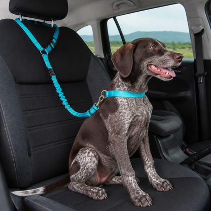 Dog Car Safety Belt