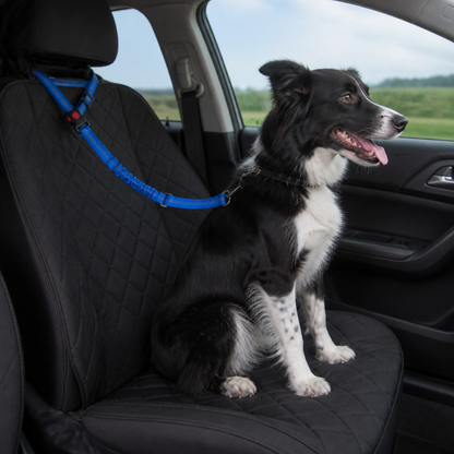 Dog Car Safety Belt
