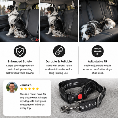 Dog Car Safety Belt