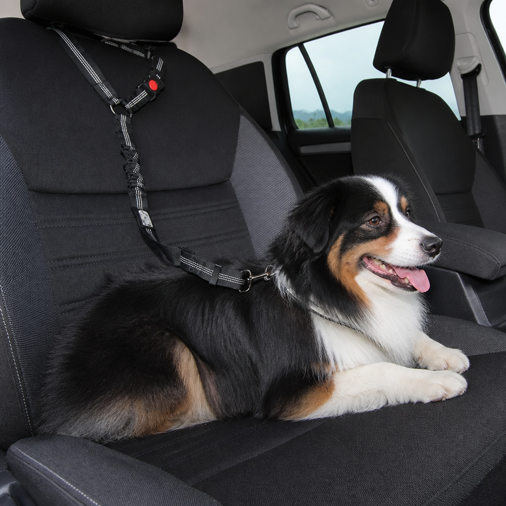 Dog Car Safety Belt