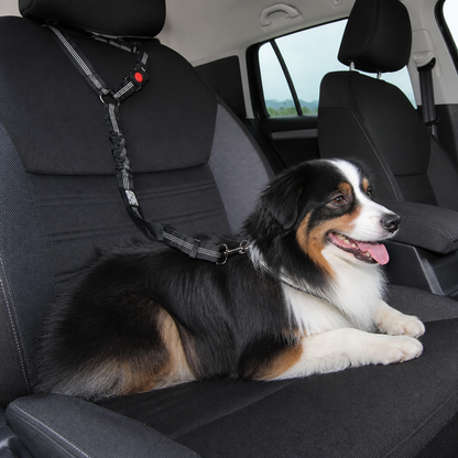 Dog Car Safety Belt