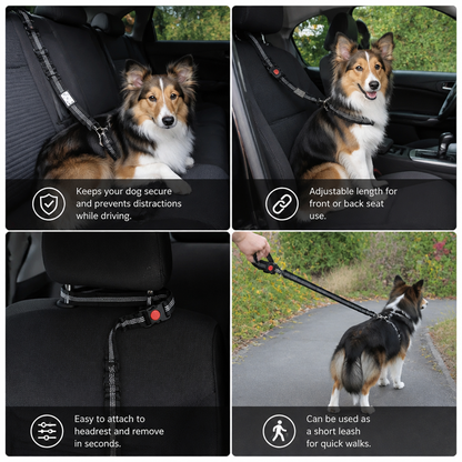 Dog Car Safety Belt
