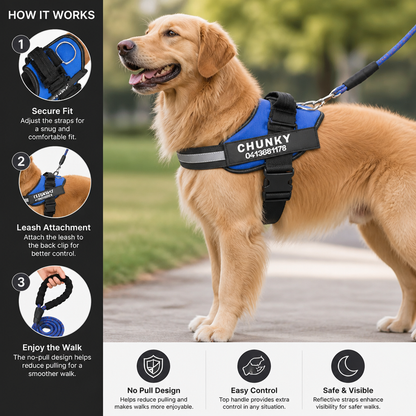 Personalized No-Pull Dog Harness for Easier Walks