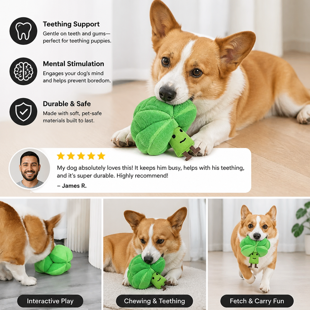 Sniffing Broccoli - Interactive Treat Toy
