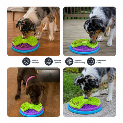 Engagement Feeding Bowl with Different Levels