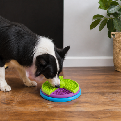 Engagement Feeding Bowl with Different Levels
