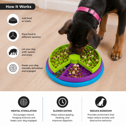 Engagement Feeding Bowl with Different Levels