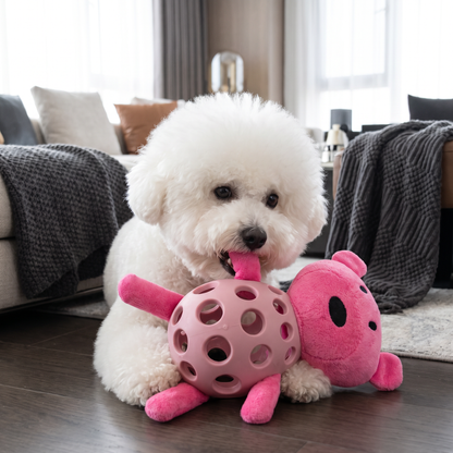 2-in-1 Bear Dog Toy – Squeaky Plush & Dental Chew Ball