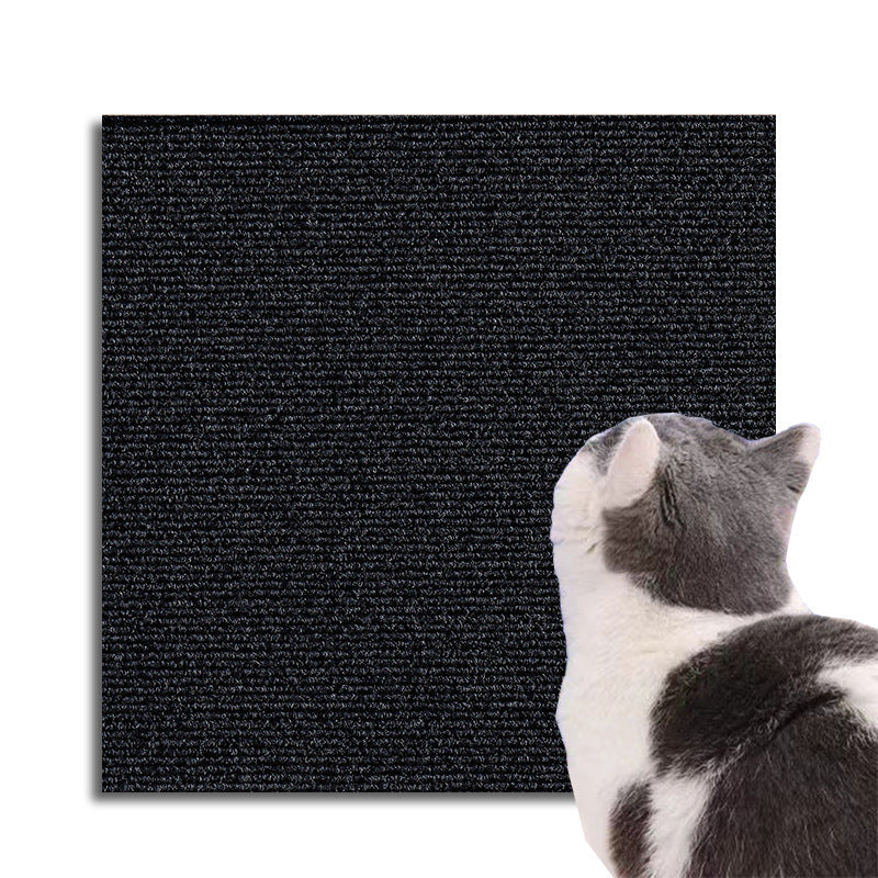 Universal Cat Scratch Protection