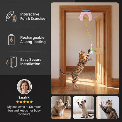 Rechargeable Hanging Door Cat Toy with Interactive Flying Feather