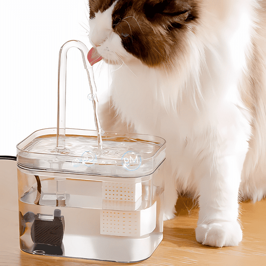 Premium Pet Drinking Fountain For Clean Water