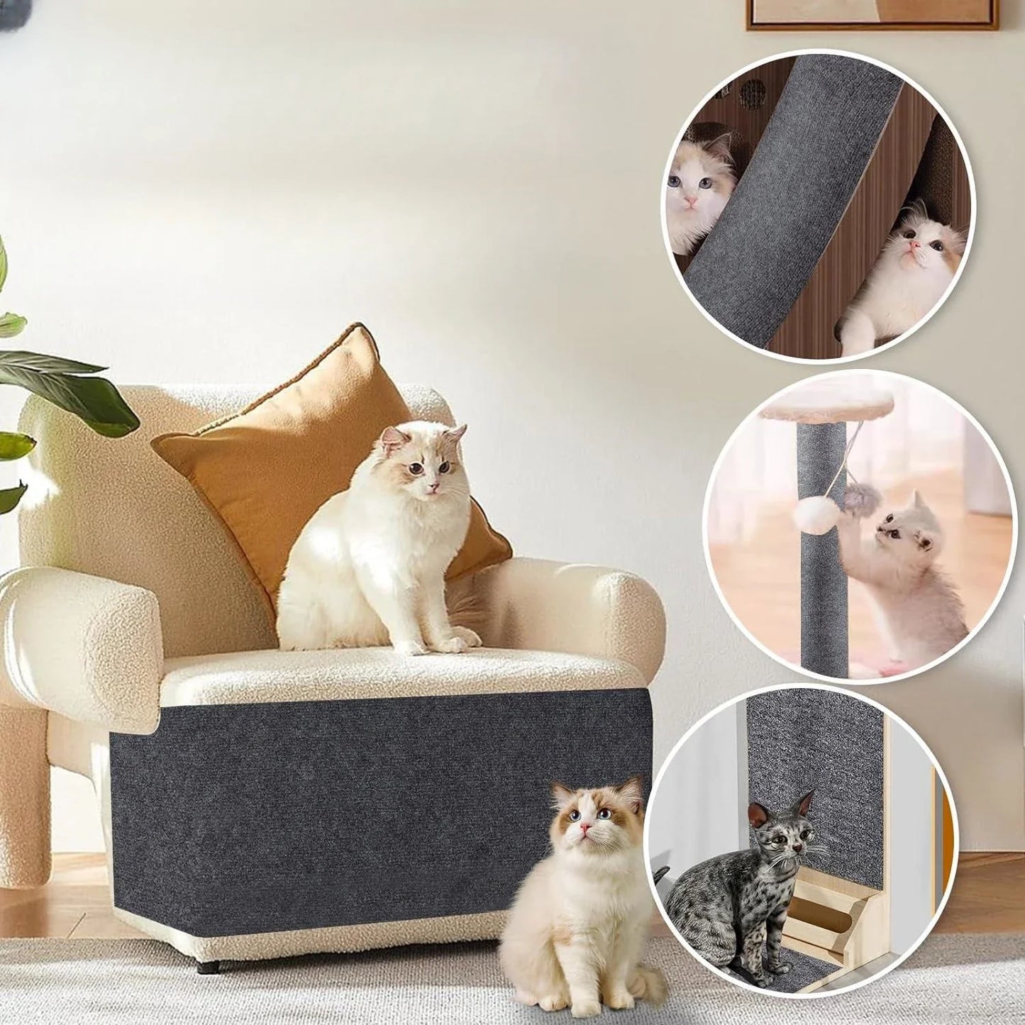 Universal Cat Scratch Protection