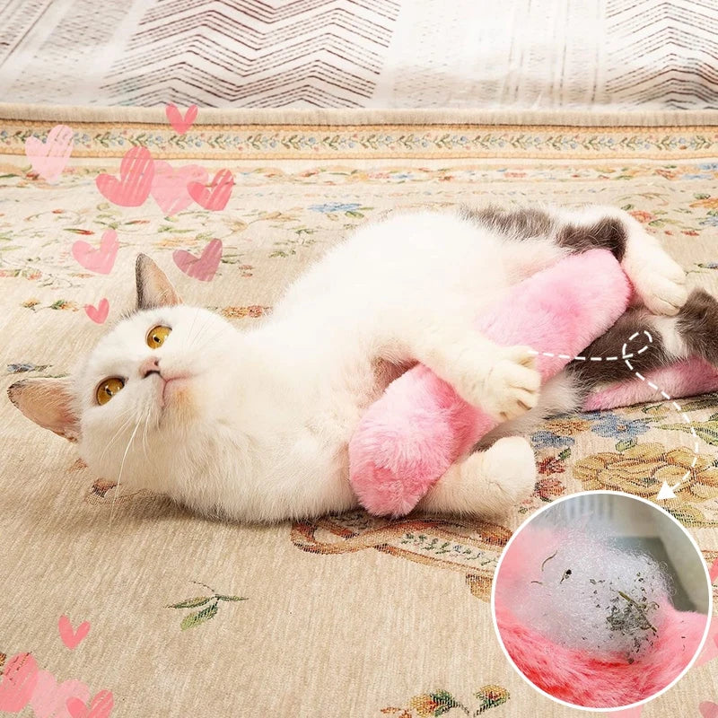 Catnip Cushion Toy