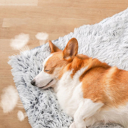 Paw - Soft Mat